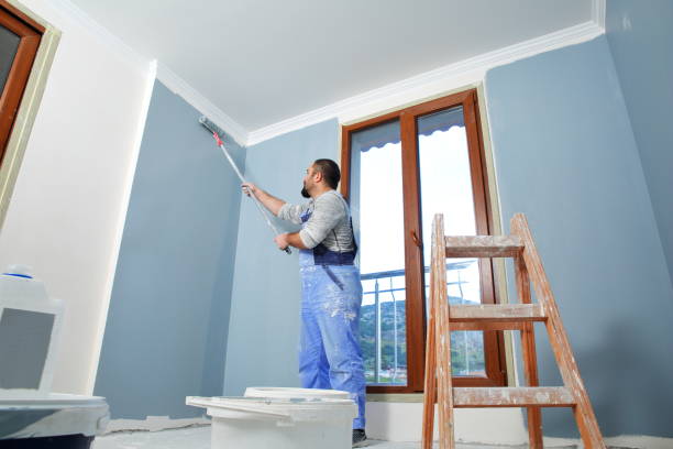 Mold Odor Removal Services in Lagrange, IN