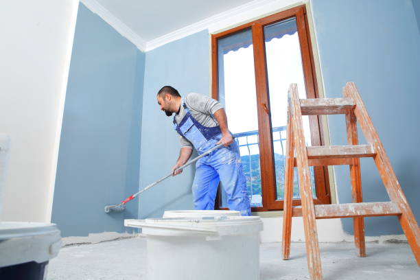 Best Black Mold Removal  in Lagrange, IN