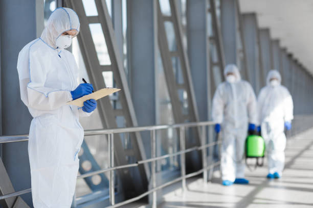 Professional Mold Removal in Lagrange, IN