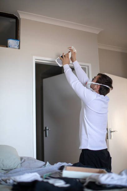 Best Mold Remediation for Vacation Homes  in Lagrange, IN