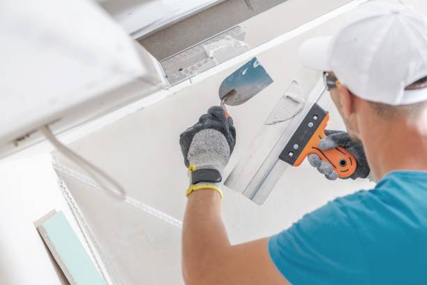 Best Real Estate Mold Inspection  in Lagrange, IN